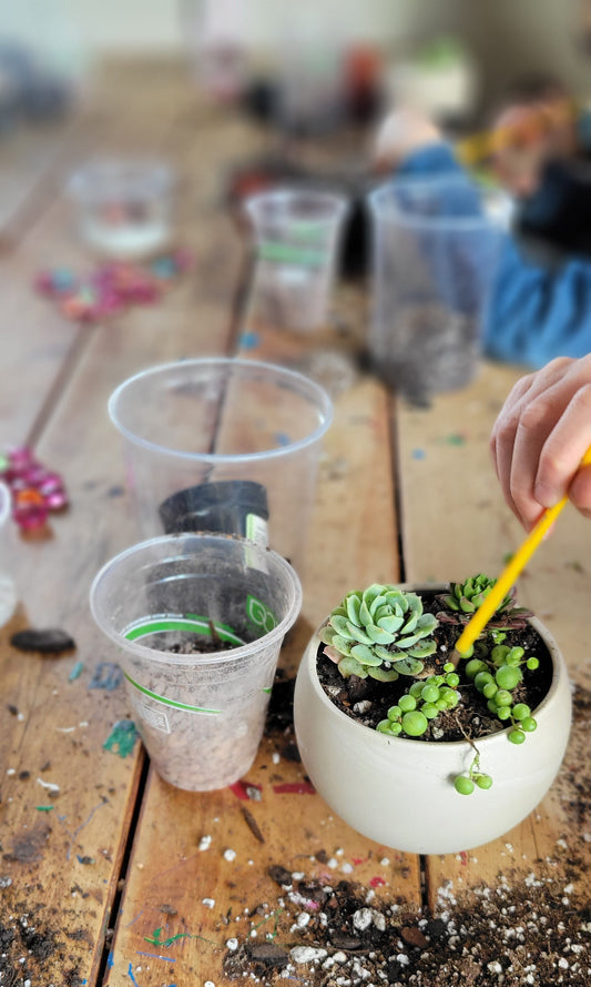 Kids Dirty Paws Planting Class at Lucky Pie