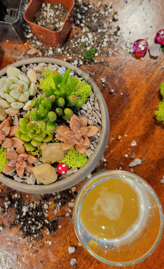 Plant and Sip workshop at Lucky Pie