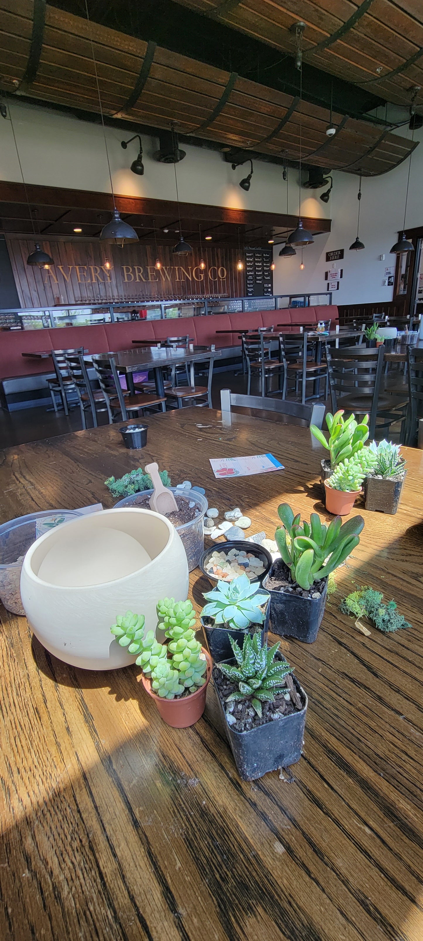 Halloween Succulent Garden Workshop Avery Brewing 10/15