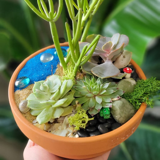 Succulent Garden