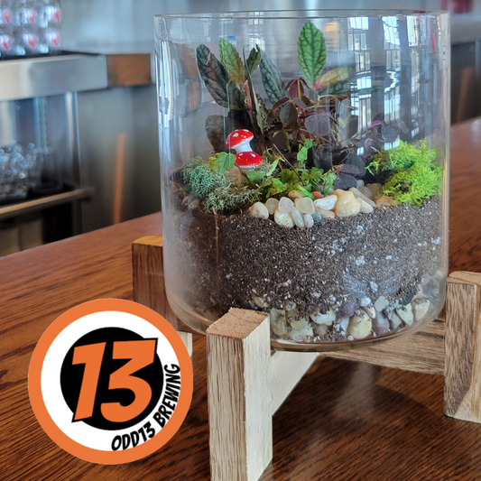 Terrarium Workshop at Odd 13 8/13