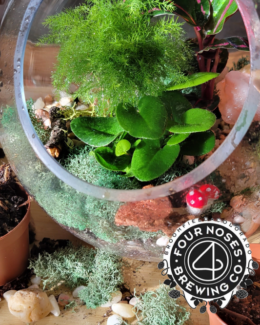 Terrarium Workshop at Four Noses Brewing 7/27