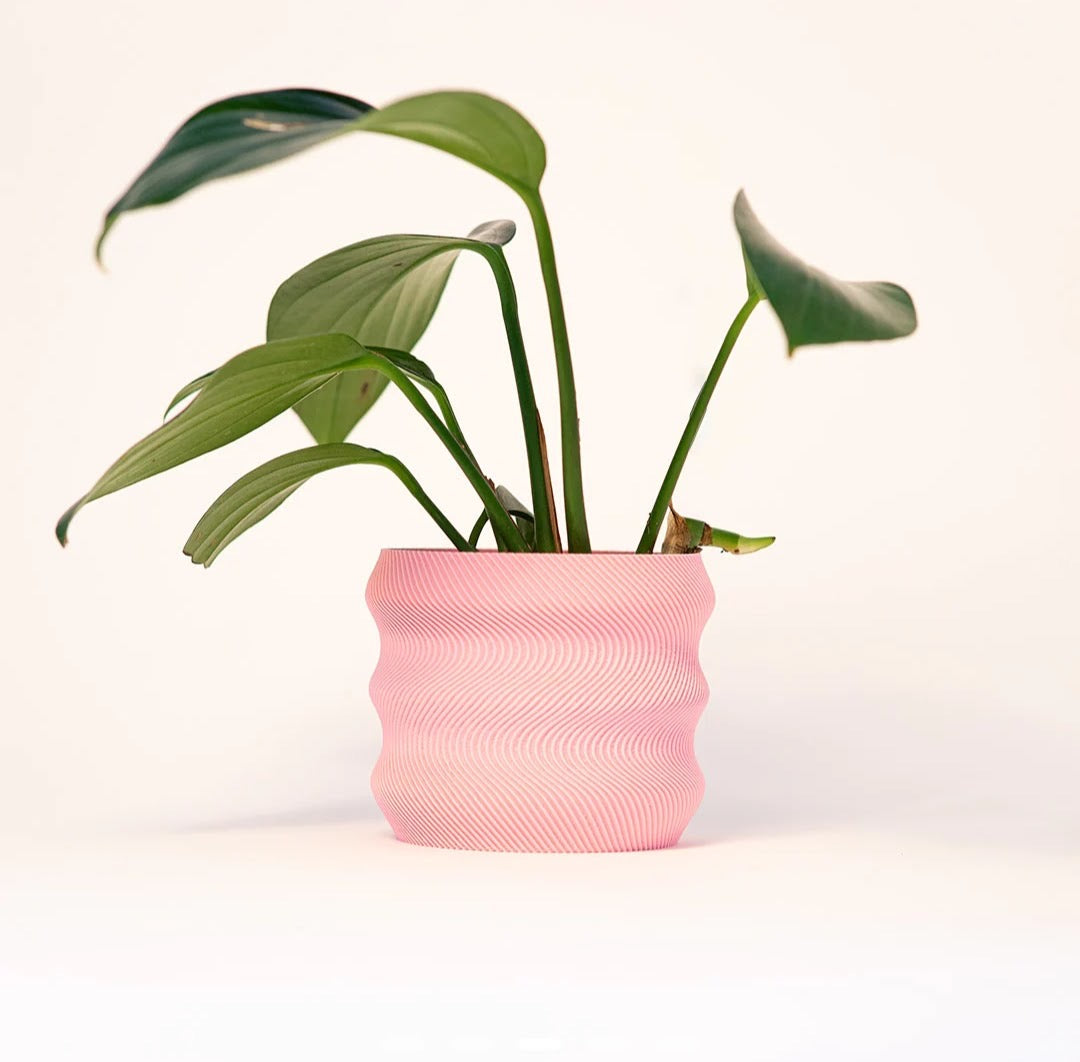 Pink wavy planter
