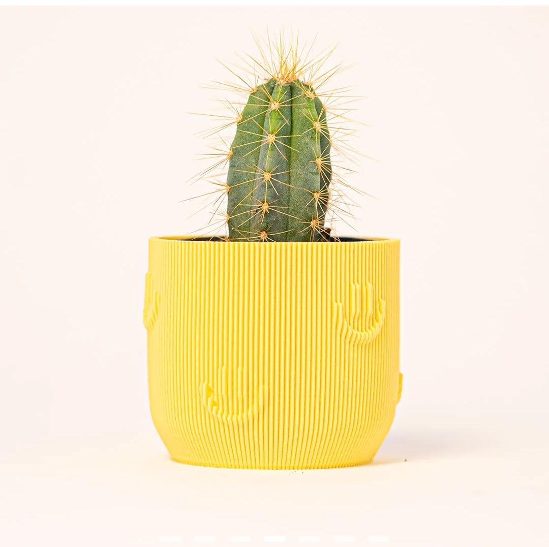 Small Smiley Planter