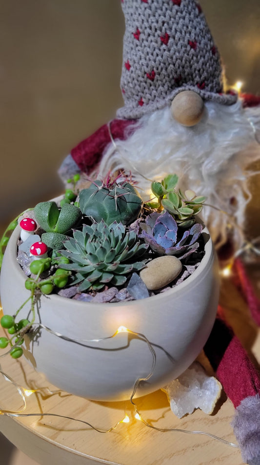 Succulent Garden Workshop