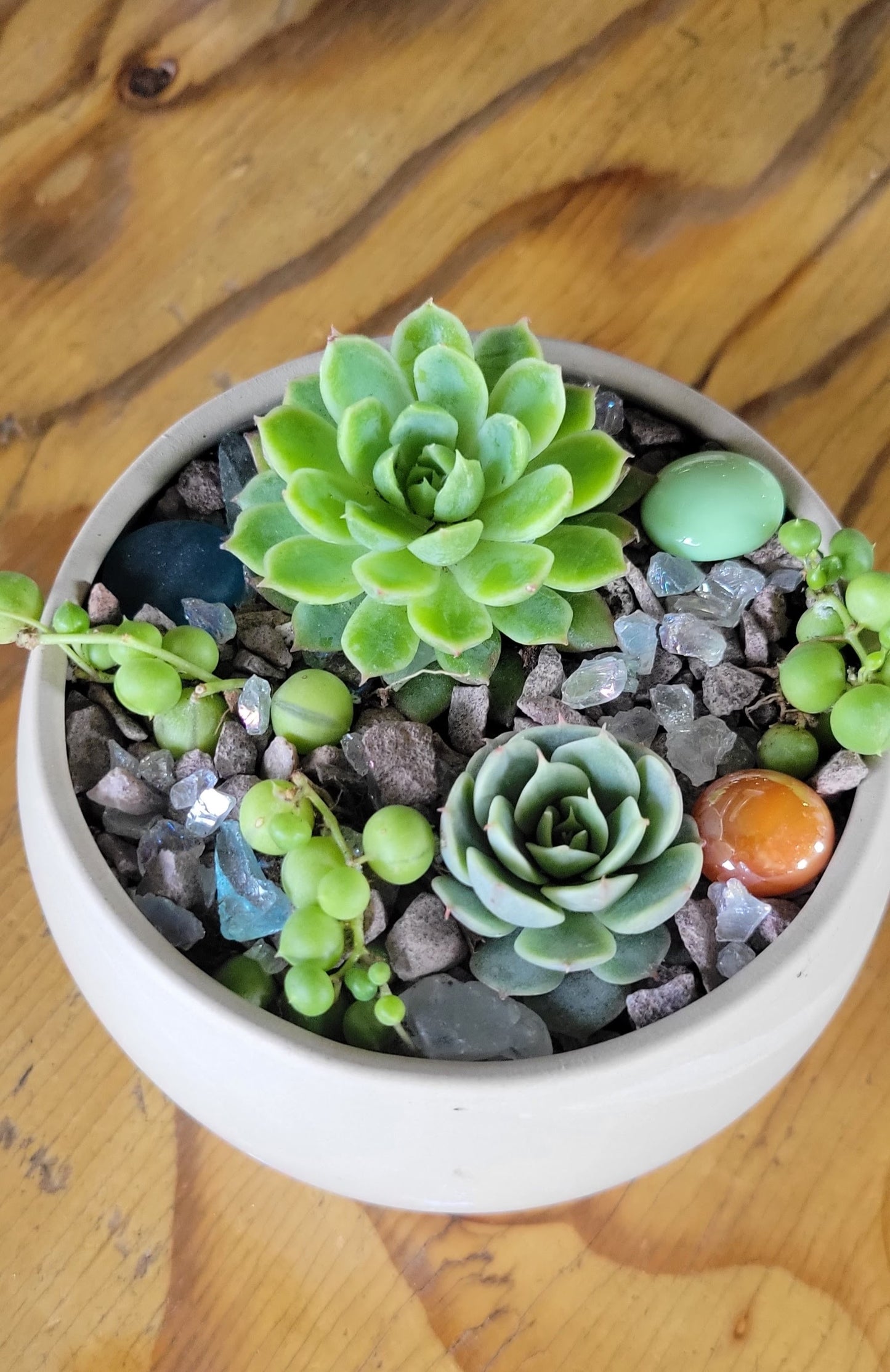 Kids Succulent Garden Workshop at Lucky Pie