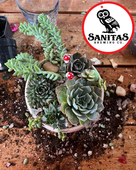 Succulent Garden workshop @Sanitas Brewing