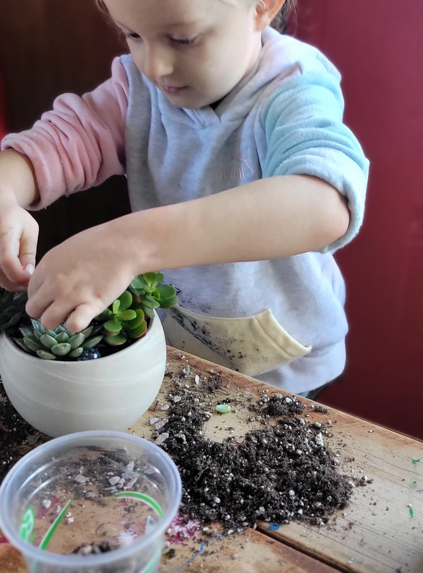 Kids Succulent Garden Workshop at Lucky Pie
