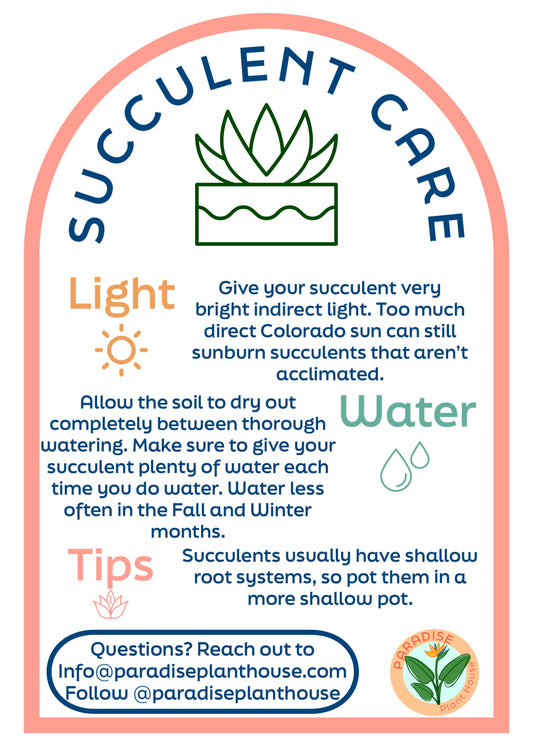 6” String of Pearls