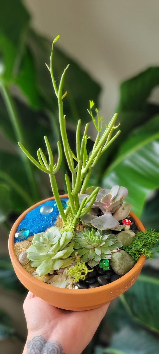 Succulent Garden
