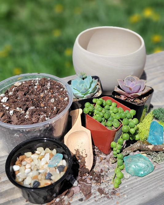 Mother’s Day DIY Succulent Garden Kit