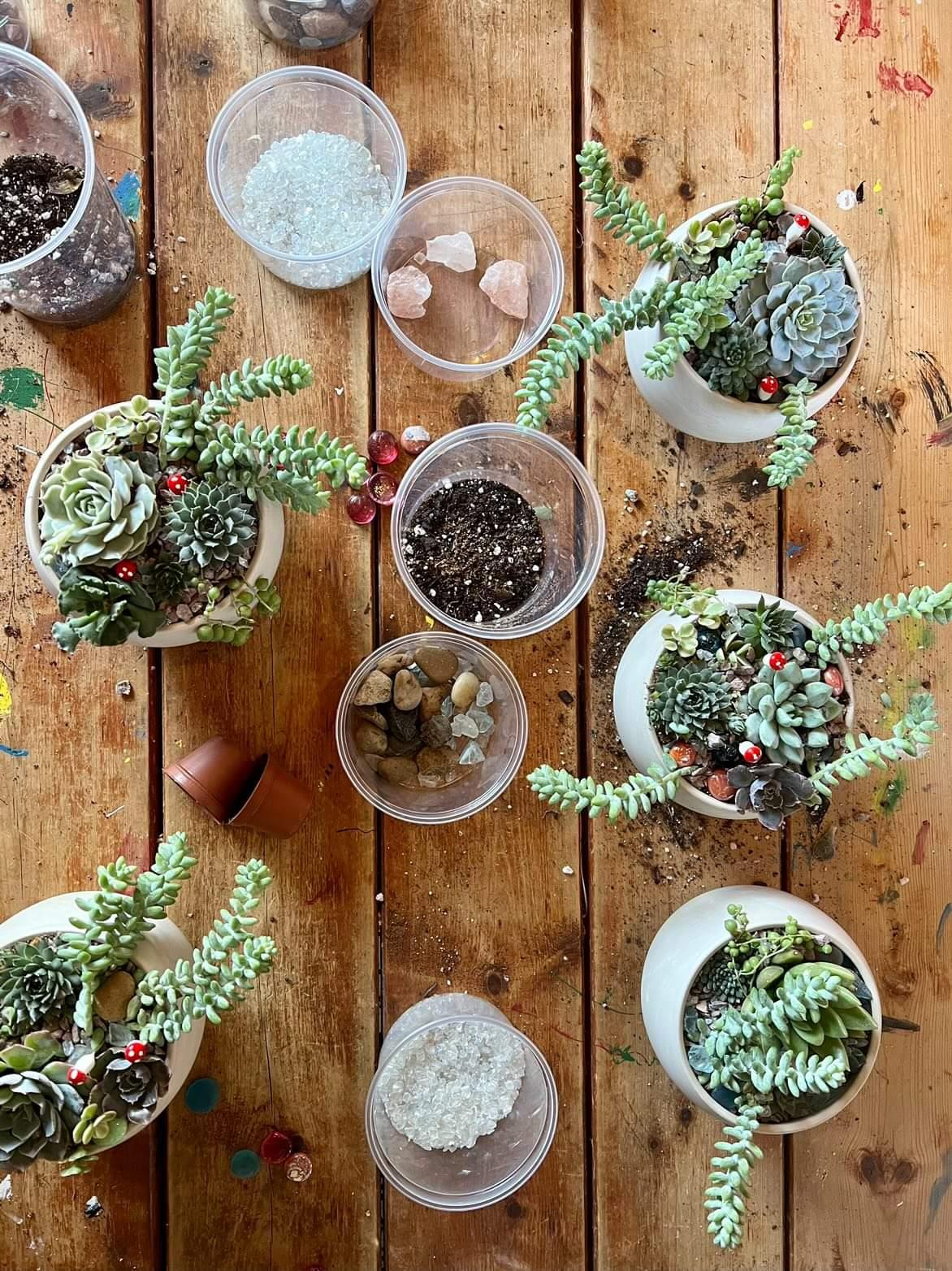 succulent planter workshop Succulent garden Workshop at Crooked Stave – Paradiseplanthouse