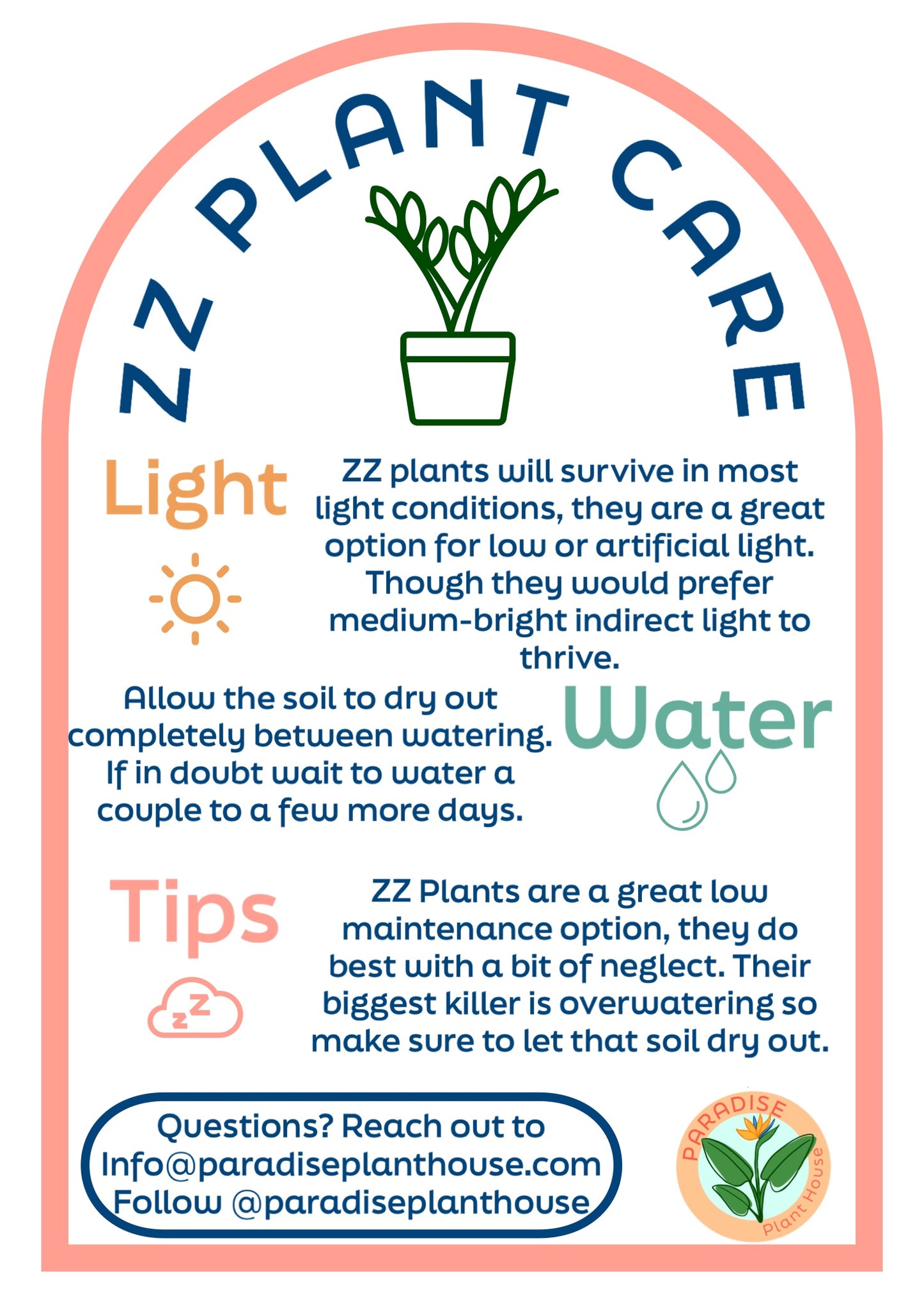 6” ZZ Plant