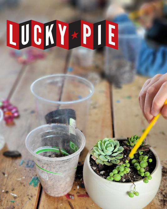 Kids Succulent Garden Workshop at Lucky Pie